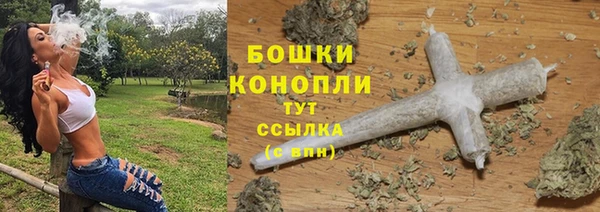 PSILOCYBIN Павловск