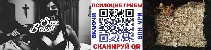 Псилоцибиновые грибы Psilocybe продажа наркотиков Щёлкино